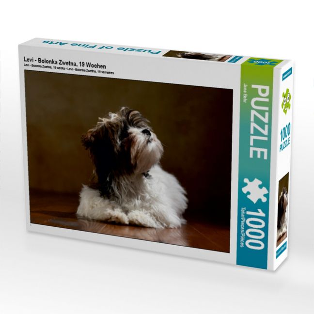 Produktbild: CALVENDO Puzzle Levi - Bolonka Zwetna, 19 Wochen 1000 Teile Puzzle quer | 1000 Teile Lege-Gr&ouml;&szlig;e 64 &times; 48 cm Foto-Puzzle f&uuml;r gl&uuml;ckliche Stunden