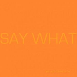 Produktbild: Say What