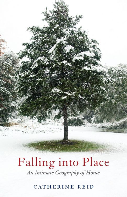 Produktbild: Falling Into Place