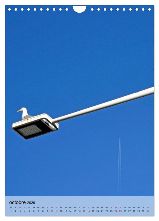 Produktbild: La mouette (Calendrier mural 2026 DIN A4 horizontal), CALVENDO calendrier mensuel