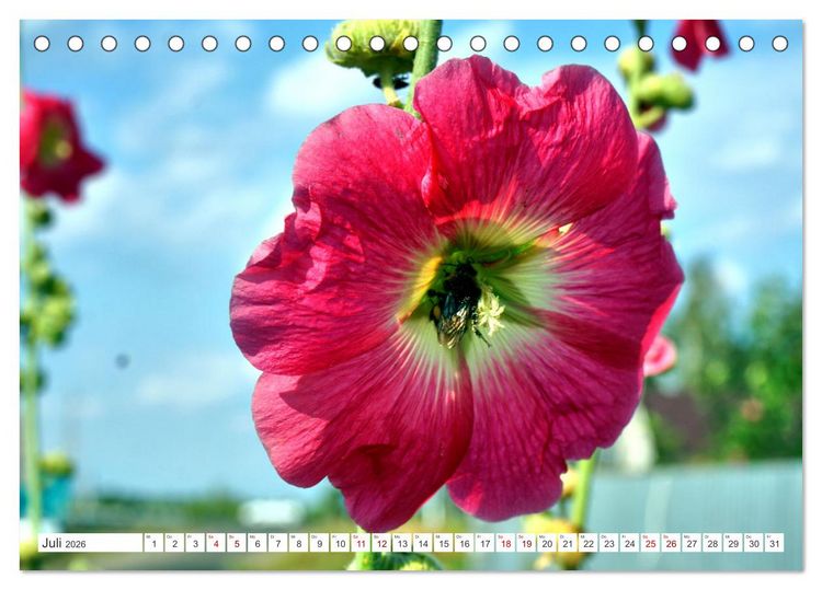 Produktbild: Dorfidylle - Landleben in Russland (Tischkalender 2026 DIN A5 quer), CALVENDO Monatskalender