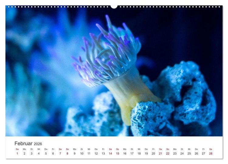 Produktbild: Tiefsee - Ein Abenteuer ins Unbekannte. (hochwertiger Premium Wandkalender 2026 DIN A2 quer), Kunstdruck in Hochglanz