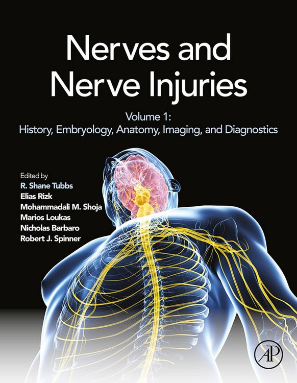 Produktbild: Nerves and Nerve Injuries