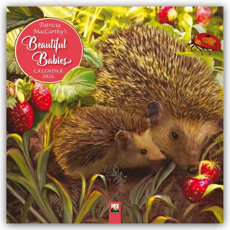 Produktbild: Patricia MacCarthy's Beautiful Babies – Wunderschöne Tierbabys 2026 – Original Flame Tree Publishing-Kalender [Kalender]