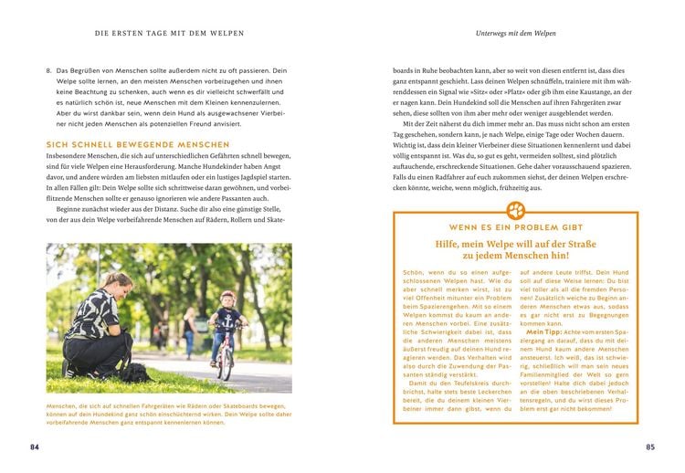 Produktbild: Der Welpen-Alltags-Helfer