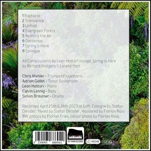 Produktbild: Evergreen Forest