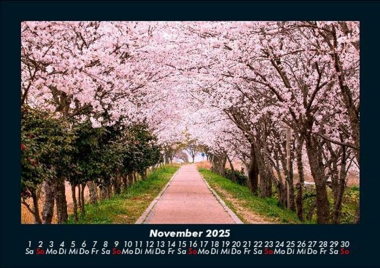 Produktbild: Natur Pur 2025 Fotokalender DIN A5