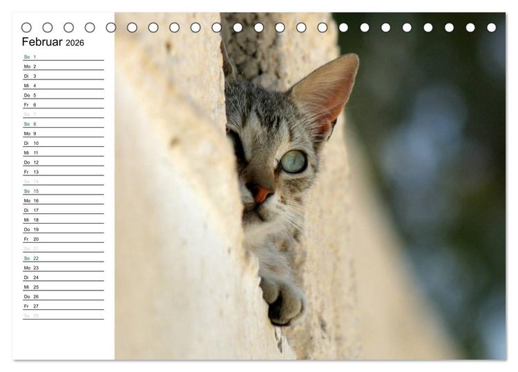 Produktbild: Katzensprung (Tischkalender 2026 DIN A5 quer), CALVENDO Monatskalender