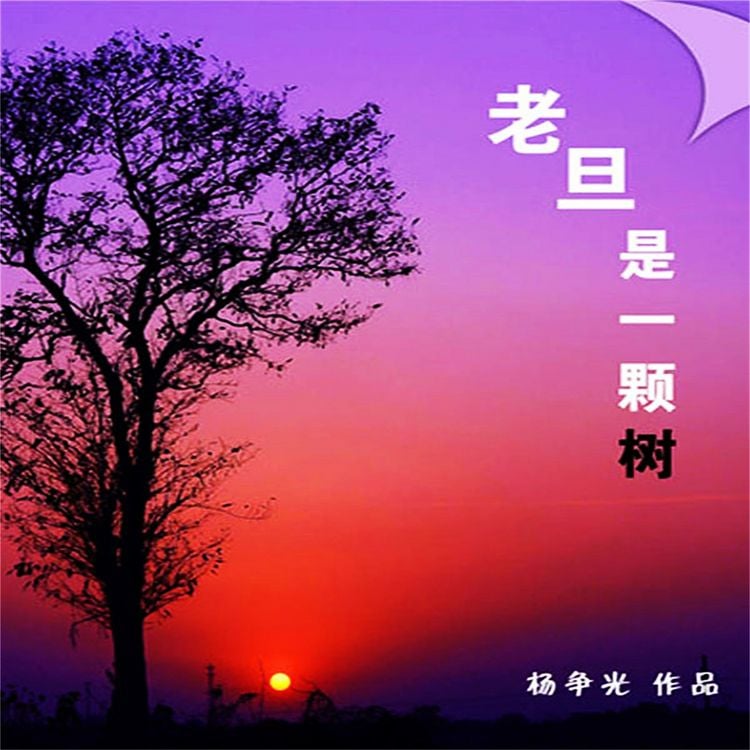 Produktbild: 老旦是一棵树