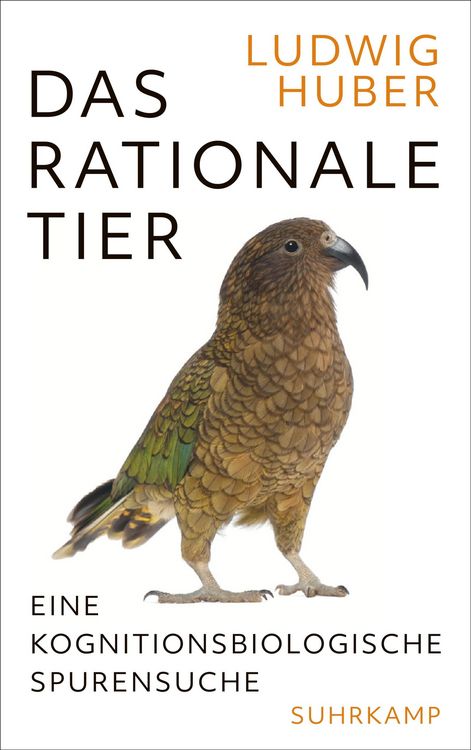 Produktbild: Das rationale Tier