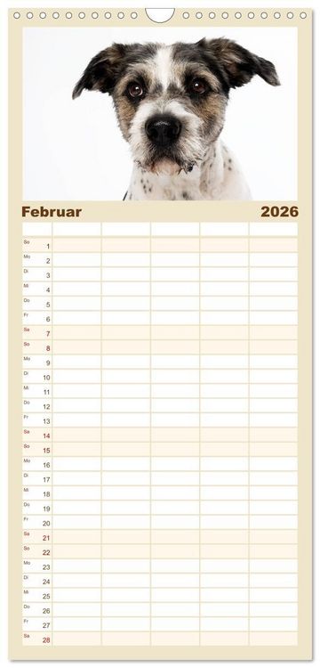 Produktbild: Familienplaner 2026 - Kleine Hunde - Gro&szlig;e Blicke mit 5 Spalten (Wandkalender, 21 x 45 cm) CALVENDO