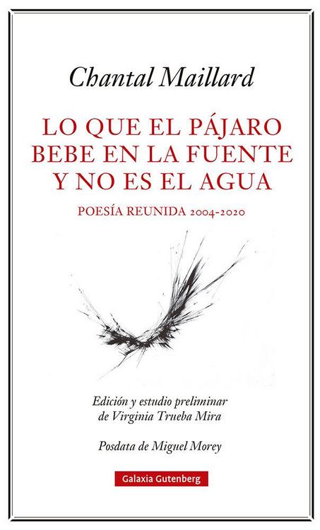 Produktbild: Lo que el p&aacute;jaro bebe en la fuente y no es el agua