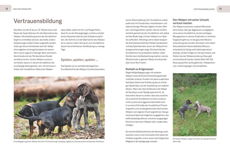 Produktbild: Der Jagdgebrauchshund-J&auml;hrling