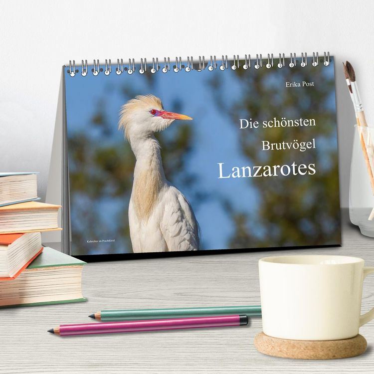 Produktbild: Die sch&ouml;nsten Brutv&ouml;gel Lanzarotes (Tischkalender 2027 DIN A5 quer), CALVENDO Monatskalender