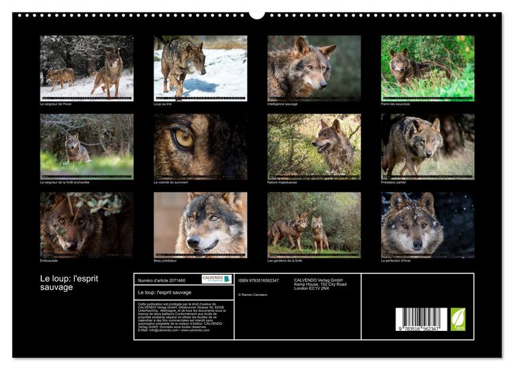 Produktbild: Le loup: l'esprit sauvage (Calendrier mural 2026 DIN A2 vertical) calendrier de bureau