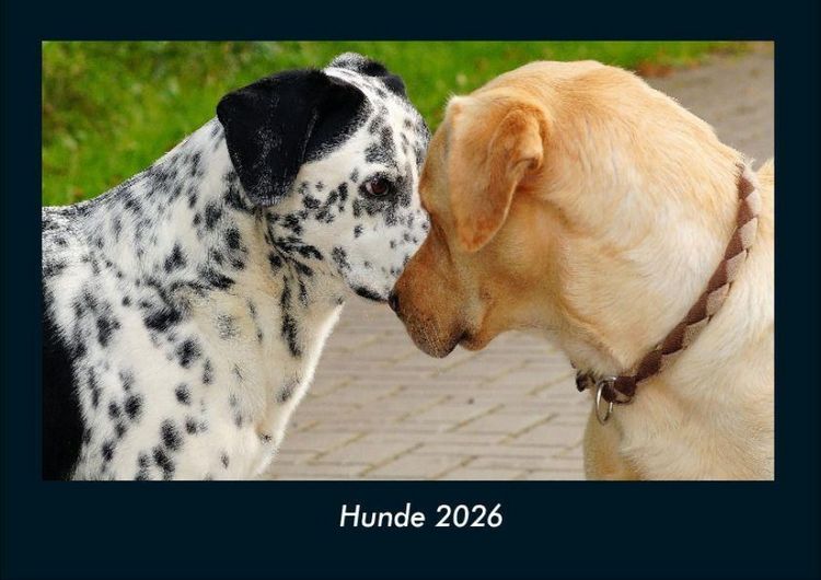 Produktbild: Hunde 2026 Fotokalender DIN A4