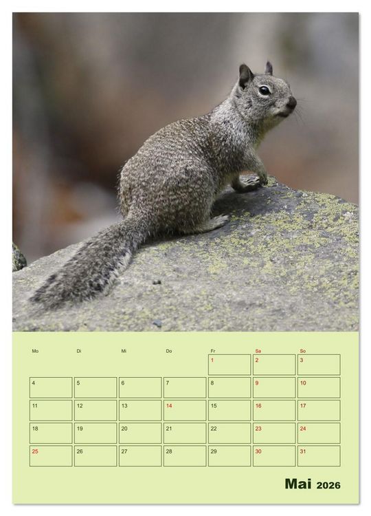 Produktbild: H&ouml;rnchen aus aller Welt (Wandkalender 2026 DIN A3 hoch), CALVENDO Monatskalender