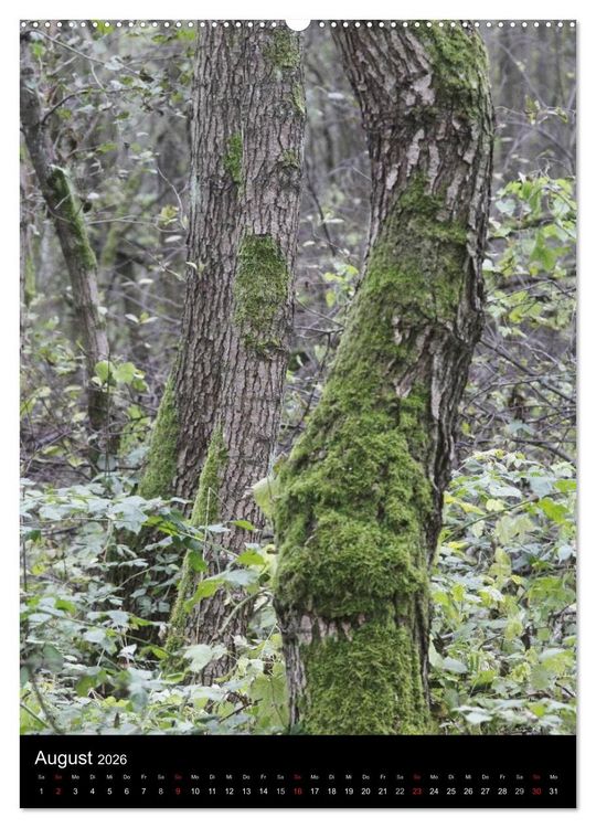Produktbild: Wunderbarer Spreewald (hochwertiger Premium Wandkalender 2026 DIN A2 hoch), Kunstdruck in Hochglanz