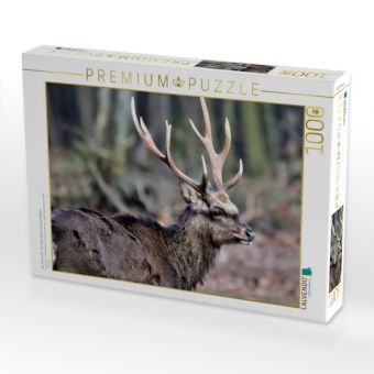 Produktbild: CALVENDO Puzzle Der Sikahirsch - Der kleine Asiat in unseren W&auml;ldern | 1000 Teile Lege-Gr&ouml;&szlig;e 64x48cm Foto-Puzzle f&uuml;r gl&uuml;ckliche Stunden