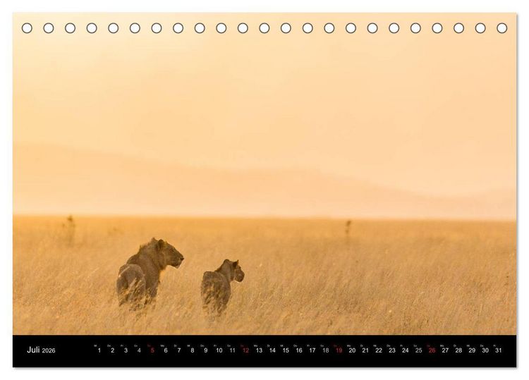 Produktbild: Ostafrika (Tischkalender 2026 DIN A5 quer), CALVENDO Monatskalender