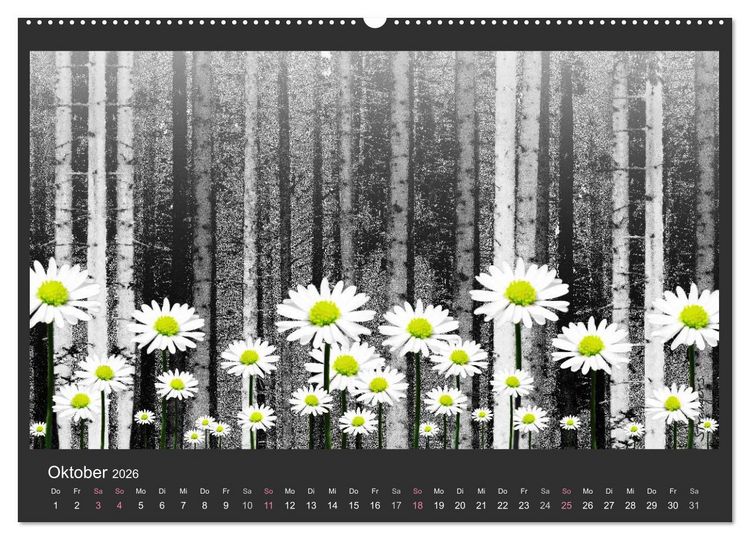 Produktbild: Schwarzwald. Anders. (hochwertiger Premium Wandkalender 2026 DIN A2 quer), Kunstdruck in Hochglanz