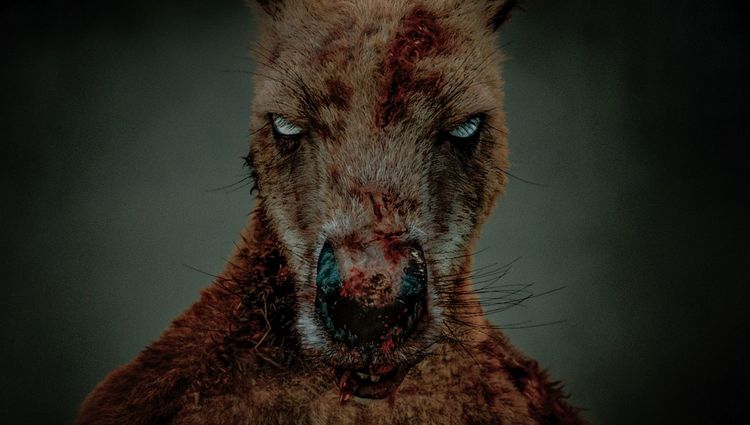 Produktbild: Rippy - Das Killerk&auml;nguru - 2-Disc Limited Collector's SteelBook (UHD-Blu-ray + Blu-ray)