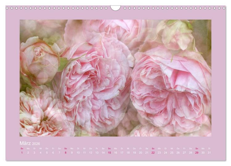Produktbild: Romantische Rosen (Wandkalender 2026 DIN A3 quer), CALVENDO Monatskalender