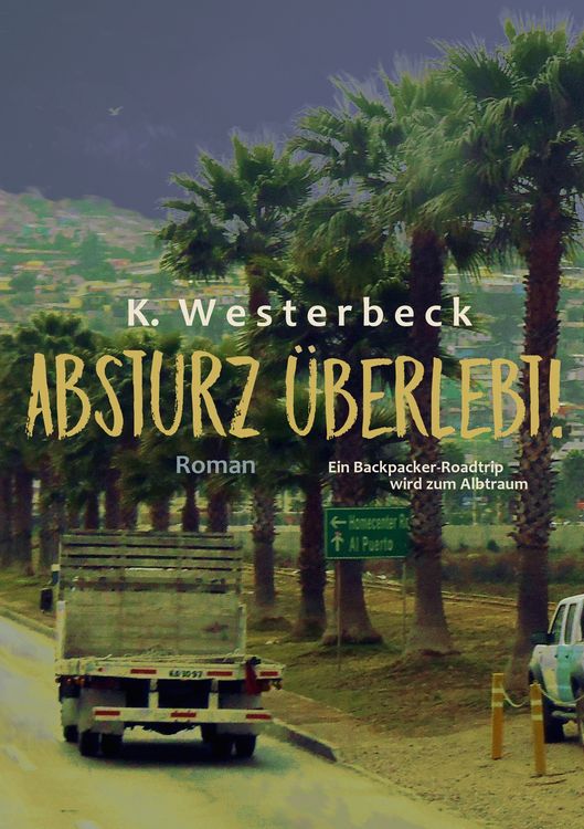 Produktbild: Absturz &uuml;berlebt!
