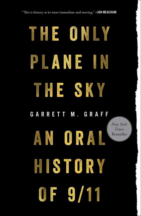 Produktbild: Only Plane in the Sky