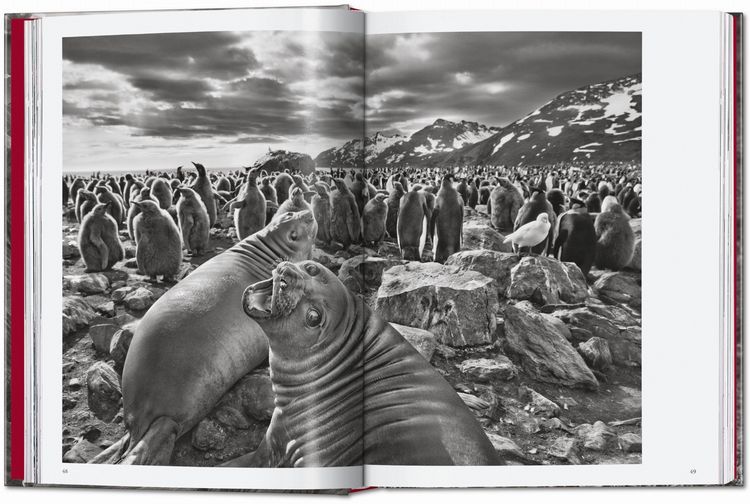 Produktbild: Sebasti&atilde;o Salgado
