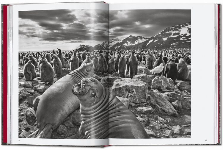 Produktbild: Sebasti&atilde;o Salgado