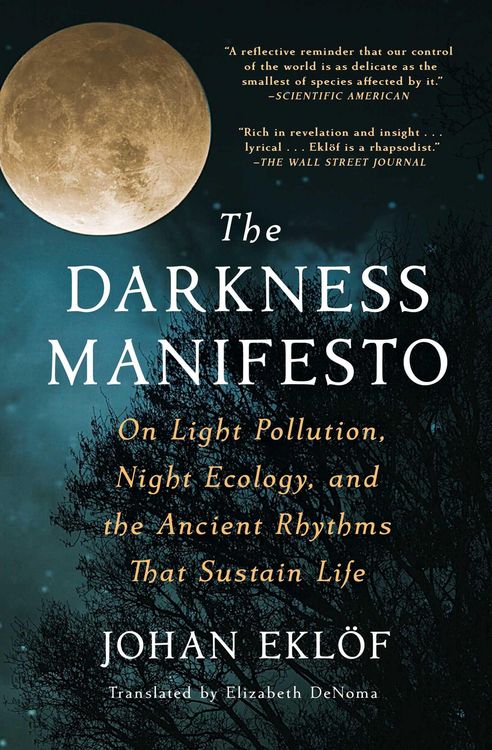 Produktbild: The Darkness Manifesto