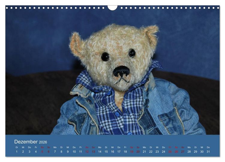 Produktbild: Robin der B&auml;r (Wandkalender 2026 DIN A3 quer), CALVENDO Monatskalender