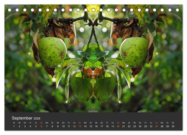 Produktbild: Spiegelwelten - Im Reich der Naturwesen (Tischkalender 2026 DIN A5 quer), CALVENDO Monatskalender