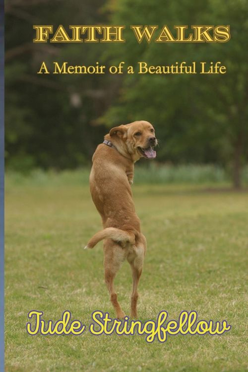 Produktbild: Faith Walks A Memoir of a Beautiful Life