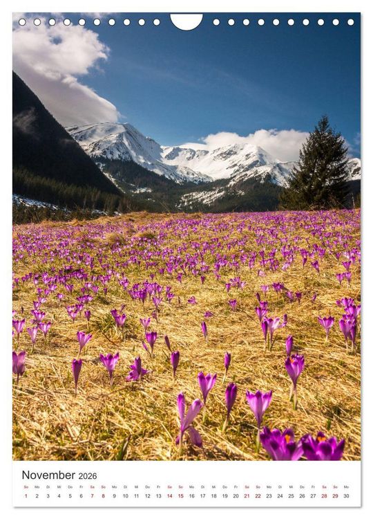 Produktbild: Polen - Eine Reise in eine wundersch&ouml;ne Natur. (Wandkalender 2026 DIN A4 hoch), CALVENDO Monatskalender