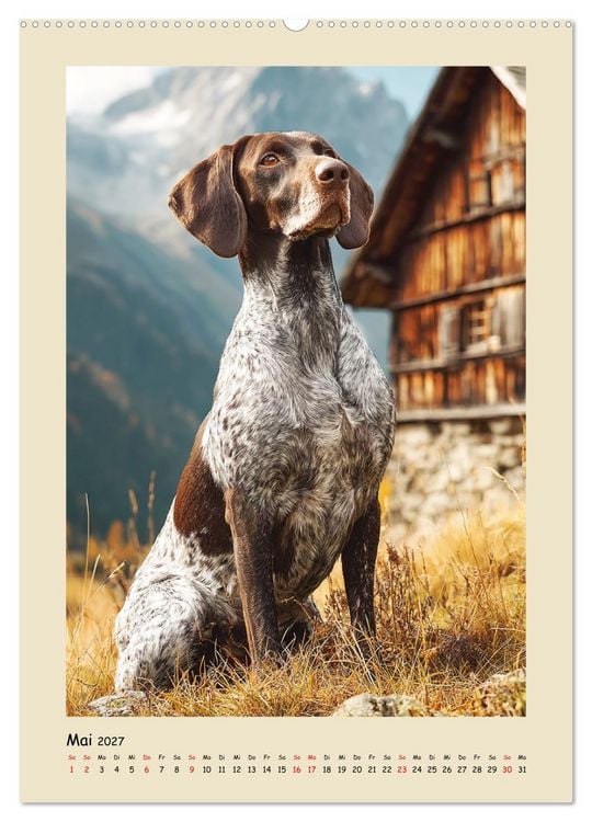 Produktbild: Deutsch-Kurzhaar. Ein edler Gef&auml;hrte f&uuml;r Feld und Wald (Wandkalender 2027 DIN A2 hoch), CALVENDO Monatskalender