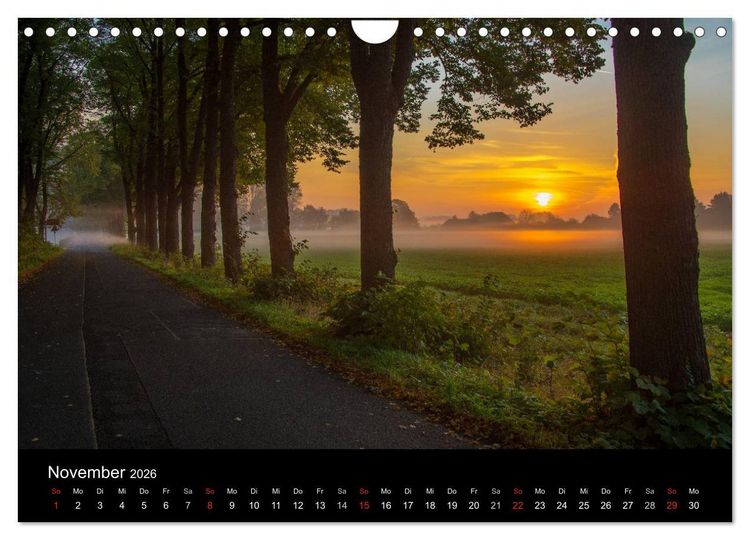 Produktbild: Meerbusch. Meerer Busch (Wandkalender 2026 DIN A4 quer), CALVENDO Monatskalender