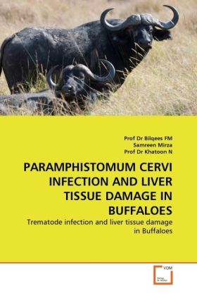 Produktbild: Fm, P: Paramphistomum Cervi Infection and Liver Tissue Damag