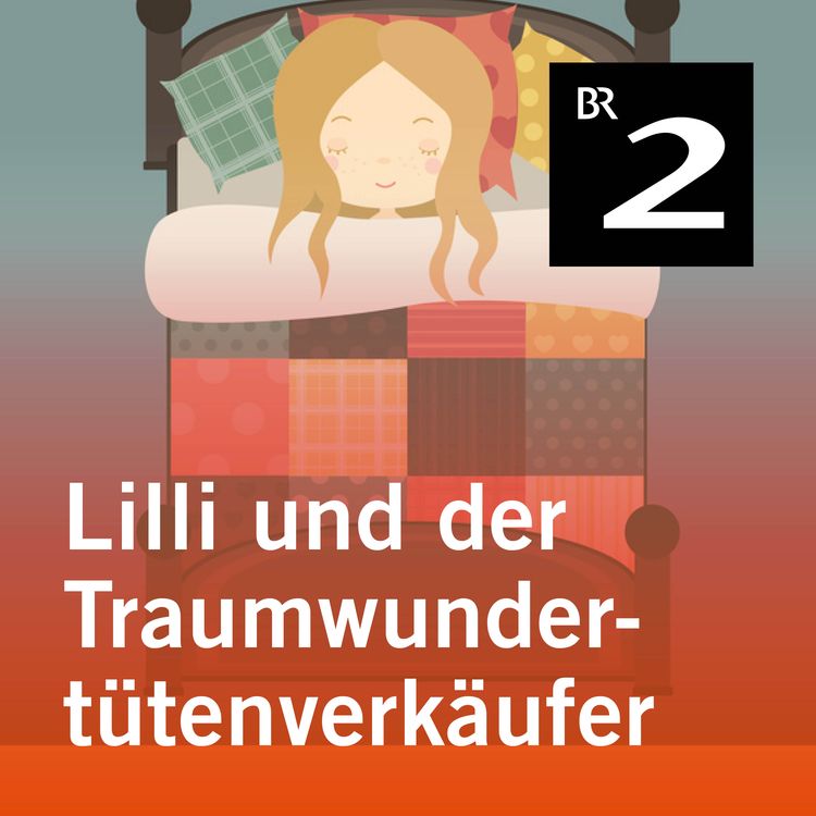Bild vom Artikel Lilli und der Traumwundertütenverkäufer: Lilli als Hubschrauberpilotin vom Autor Angelika Mechtel