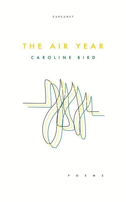 Produktbild: The Air Year