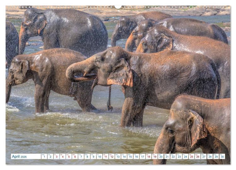 Produktbild: Sri Lanka (High Quality Premium Wall Calendar 2026 DIN A2 landscape),CALVENDO 12 Month Wall Calendar