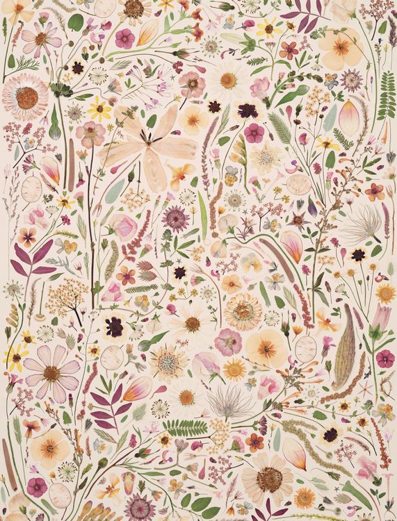Produktbild: Beautiful Blooms Wrapping Paper Book