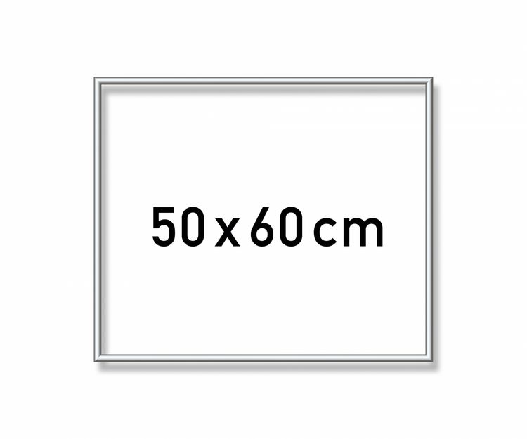 Produktbild: MNZ - Alurahmen Silber 50 x 60 cm