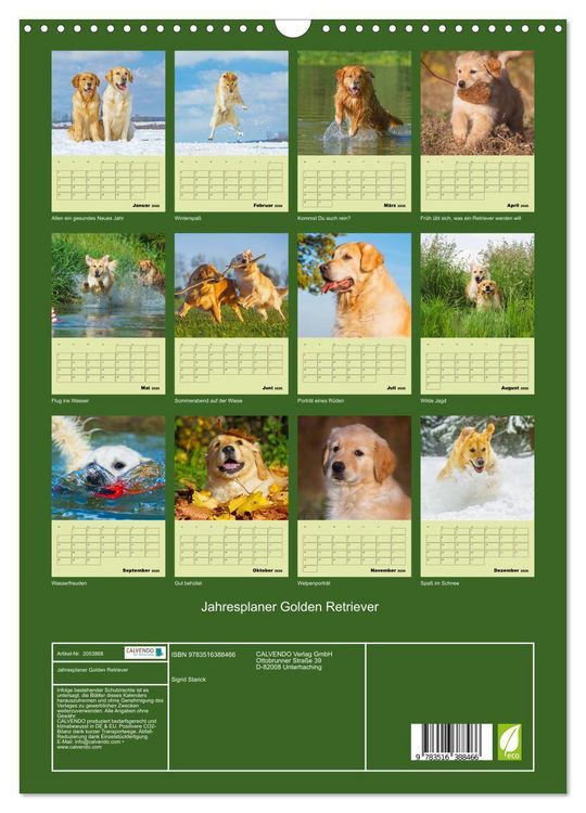 Produktbild: Jahresplaner Golden Retriever (Wandkalender 2026 DIN A3 hoch), CALVENDO Monatskalender