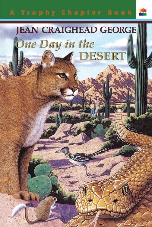 Produktbild: One Day in the Desert