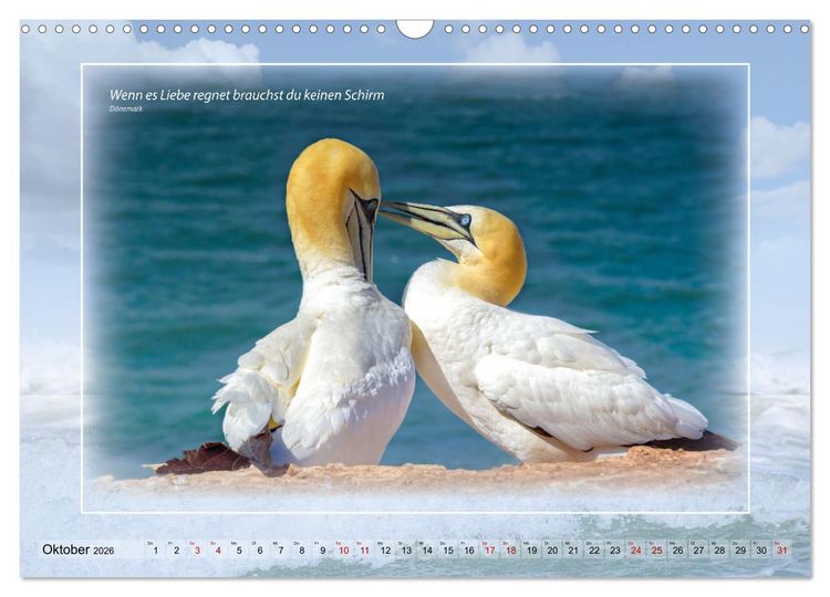 Produktbild: Insel Gedanken (Wandkalender 2026 DIN A3 quer), CALVENDO Monatskalender