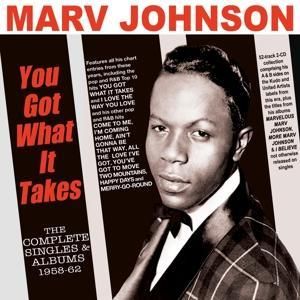 Produktbild: You Got What It Takes -