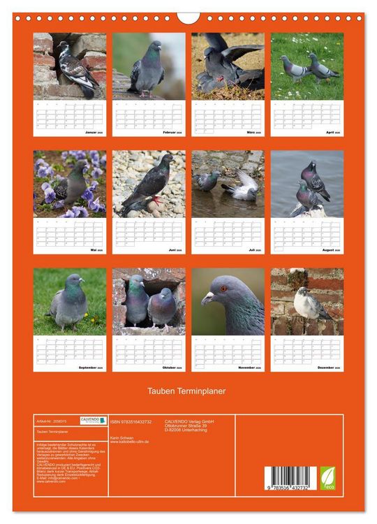 Produktbild: Tauben Terminplaner (Wandkalender 2026 DIN A3 hoch), CALVENDO Monatskalender