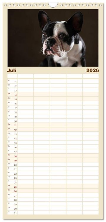Produktbild: Familienplaner 2026 - Charme auf vier Pfoten - Franz&ouml;sische Bulldoggen Portraits mit 5 Spalten (Wandkalender, 21 x 45 cm) CALVENDO